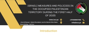 Apartheid in Practice: Israeli Policies in the First Half of 2025